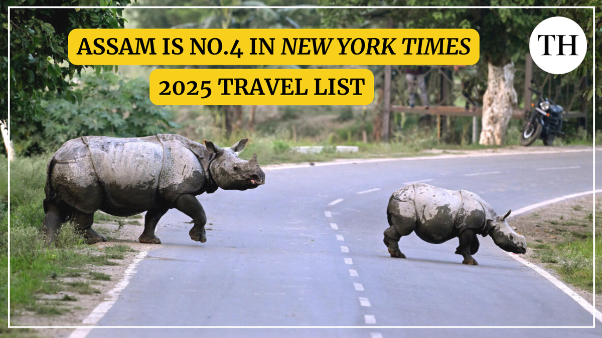 Watch: Assam ranks 4th on The New York Times ‘52 Places to Visit in 2025’ list; locals rejoice